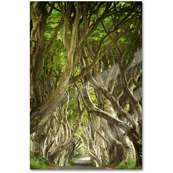 Trademark Fine Art "The Way It Is" Canvas Art by Philippe Sainte-Laudy