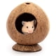 thumbnail image 1 of Casa de hámster con cabaña de coco, cama para jerbos, ratones, jaula para animales pequeños, decoración de hábitat, 1 of 5