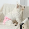 thumbnail image 3 of Tnobhg Female Dog Diapers Breathable Mesh Design Leak-Proof Water-absorbed Pet Menstrual Pants for Heat Incontinence, 3 of 8