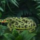 thumbnail image 3 of Peluche con forma de serpiente Romart, realista, 170 cm, color verde, 3 of 7