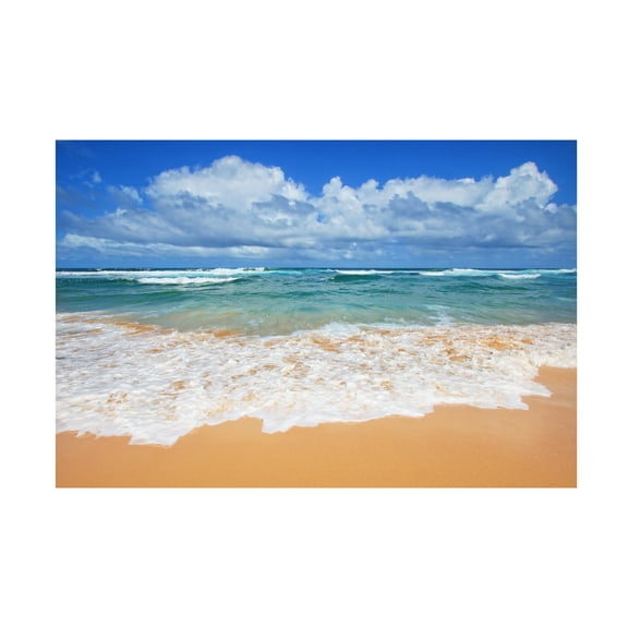 Beata Czyzowska Young 'Australian Summer' Canvas Art