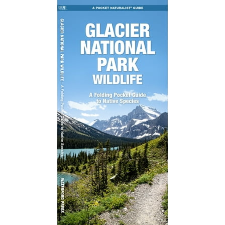 Nature Observation North America Glacier National Park Wildlife, (Paperback)