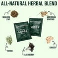 Betterbrand Better Lungs Detox Tea Herbal Tea Bags Mullein Leaf
