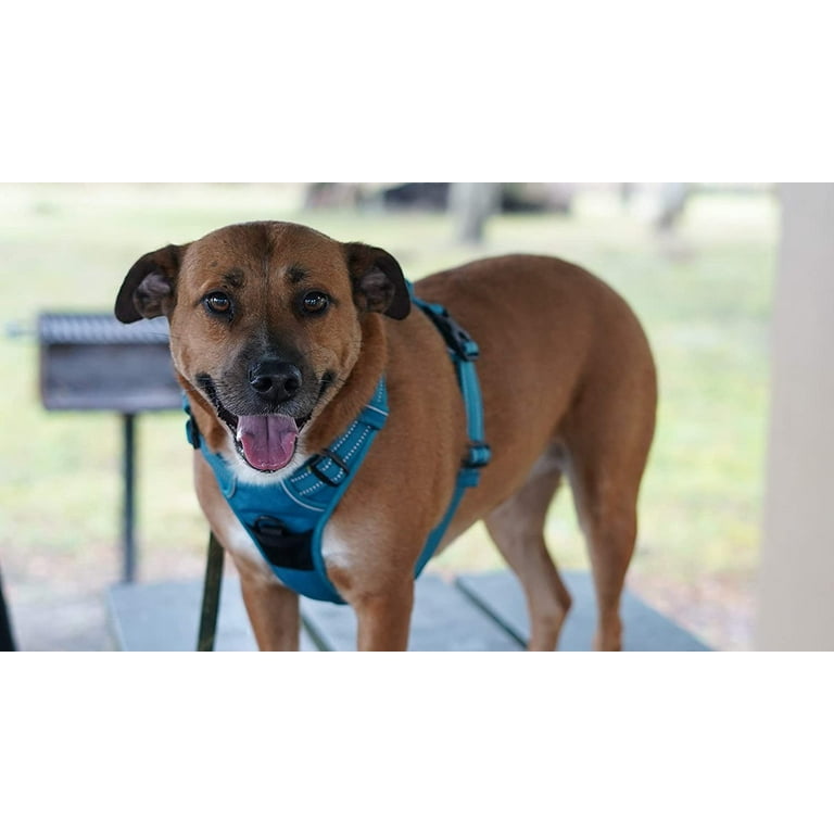 Voyager Dog Harness Dual ATTACHMENT No Pull Adjustable Harness