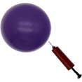 thumbnail image 1 of Pelota de ejercicio, pelota de ejercicio pequeña, mini pelota de yoga, pelota de Pilates, pelota central para estabilidad, fisioterapia y fitness, 1 of 6