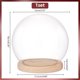 thumbnail image 2 of Cúpula de cristal con base de madera - Vitrina esférica transparente para plantas, flores, piedras, mariposas - Estilo moderno - 15 x 16 cm, 2 of 6