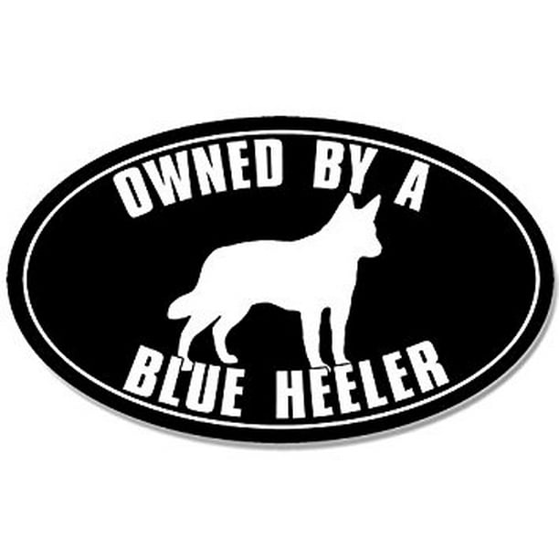 My Australian Cattle Dog Herded Your Stick Family