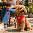 thumbnail image 7 of Dog Harness, Breathable Mesh No Pull Black X-Small, 1 Pack Reflective Step In Pet Vest Harness with Leash Set, for Walking Training Outdoor Activities for Small Puppy Cats Pets, 7 of 7