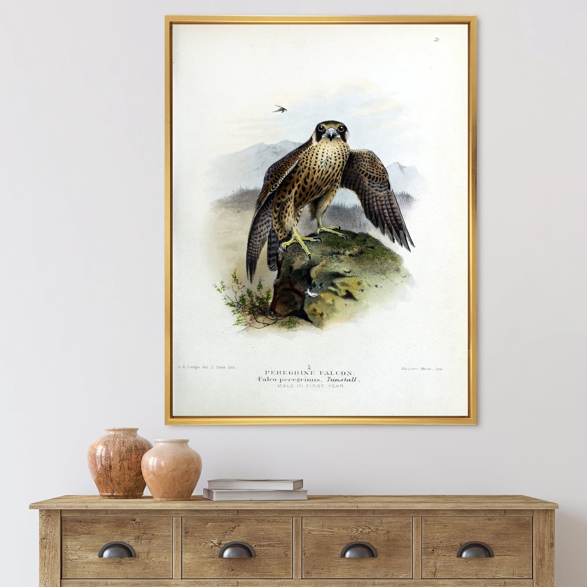 Designart 'Ancient Bird Life VIII' Traditional Framed Canvas Wall Art Print
