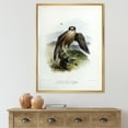 thumbnail image 2 of Designart 'Ancient Bird Life VIII' Traditional Framed Canvas Wall Art Print, 2 of 5