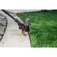 thumbnail image 3 of BLACK+DECKER 20V MAX* Cordless Resin Blade Trimmer, 3 of 88