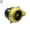 Gold, variant on Universal Car Fake Dump Electronic-Turbo Blow Off Hooter-Valve HOT Sound