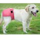 thumbnail image 5 of Pantalones fisiológicos para perros, suaves, ajustables, evitan molestias, lavables, reutilizables, bragas sanitarias para perros, para perras, color rosa, L, 5 of 12