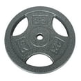 thumbnail image 2 of Disque de musculation avec prises GoZone – Argent, 2 of 3