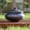 Black, variant on Swadeshi Blessings Exclusive Range Unglazed Earthen Dahi Handi/Curd Pot/Mitti Handi/Clay Pot with Lid, Also for Serving (with Natural White Firing Shade) (Black Traditional 1.3 Litres)