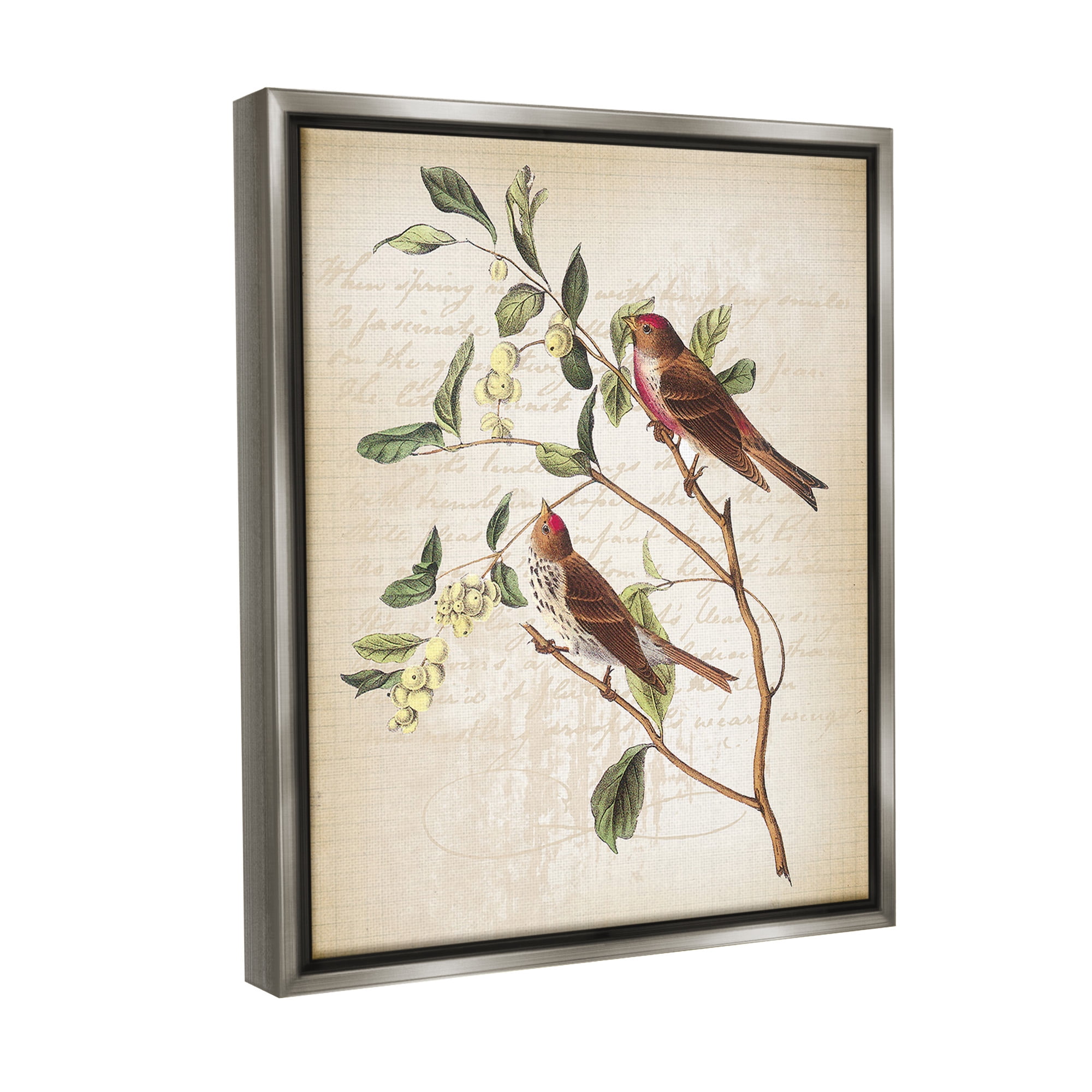 Stupell Industries Birds with Vintage Cursive Animals & Insects Painting Gray Floater Framed Canvas Art Print Wall Art, 25 x 31
