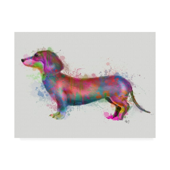 Trademark Fine Art 'Dachshund Rainbow Splash 1' Canvas Art by Fab Funky