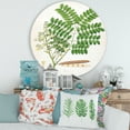 thumbnail image 2 of Designart 'Ancient Botanicals VII' Farmhouse Circle Metal Wall Art 29x29 - Disc of 29, 2 of 5