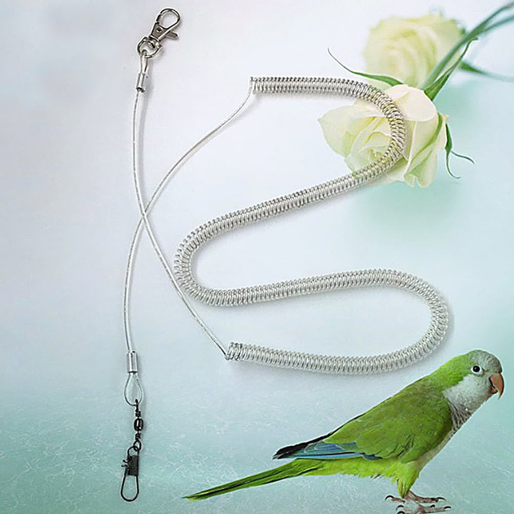 HOT Parrot Bird Lead Leash Kits Flying Training Rope for Cockatiel 2m~6m 
