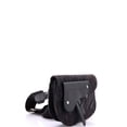 thumbnail image 2 of Pre-Owned Saddle Messenger Pouch Oblique Canvas By Rebag, 2 of 8