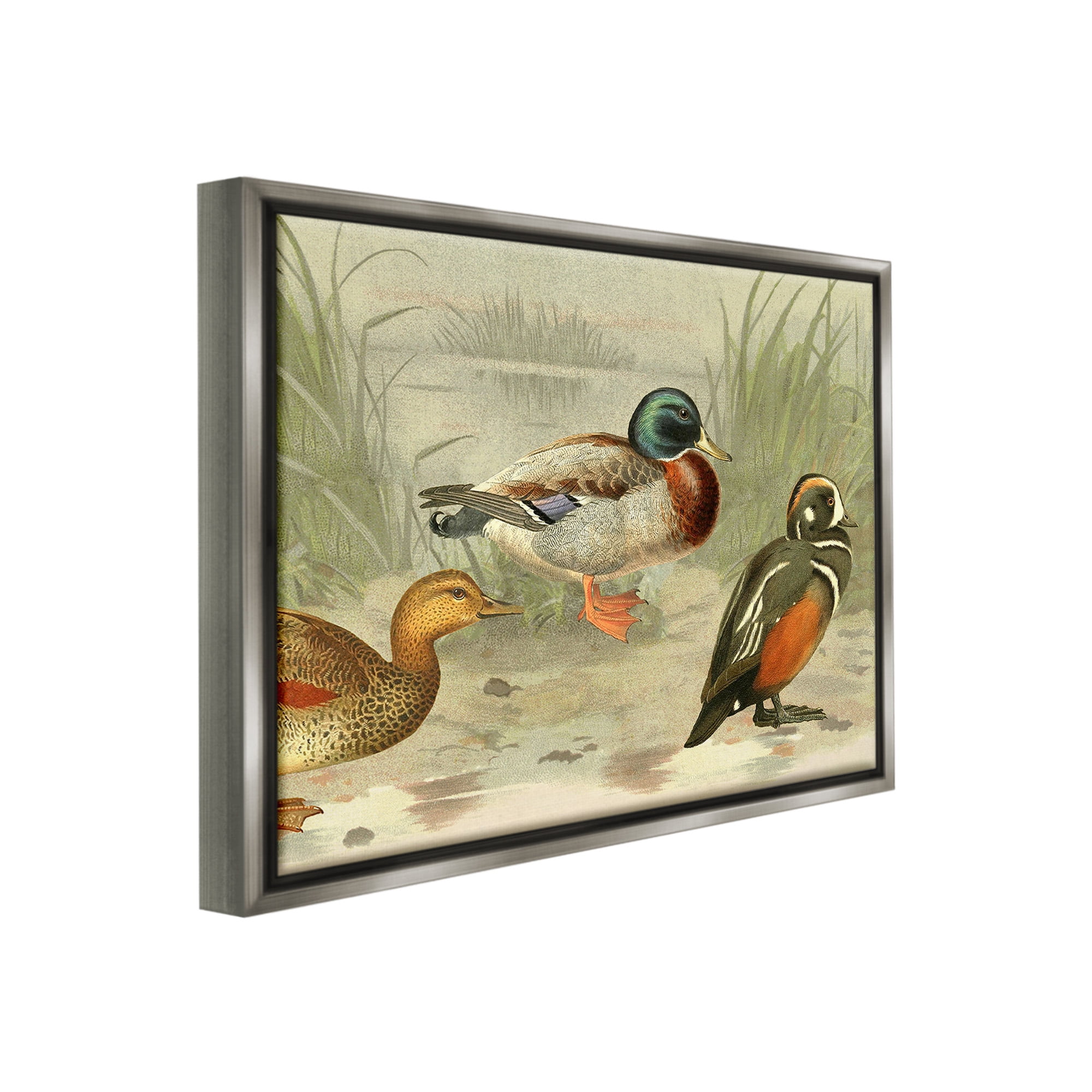 Stupell Industries Various Ducks by Pond Animals & Insects Painting Gray Floater Framed Canvas Art Print Wall Art, 31 x 25