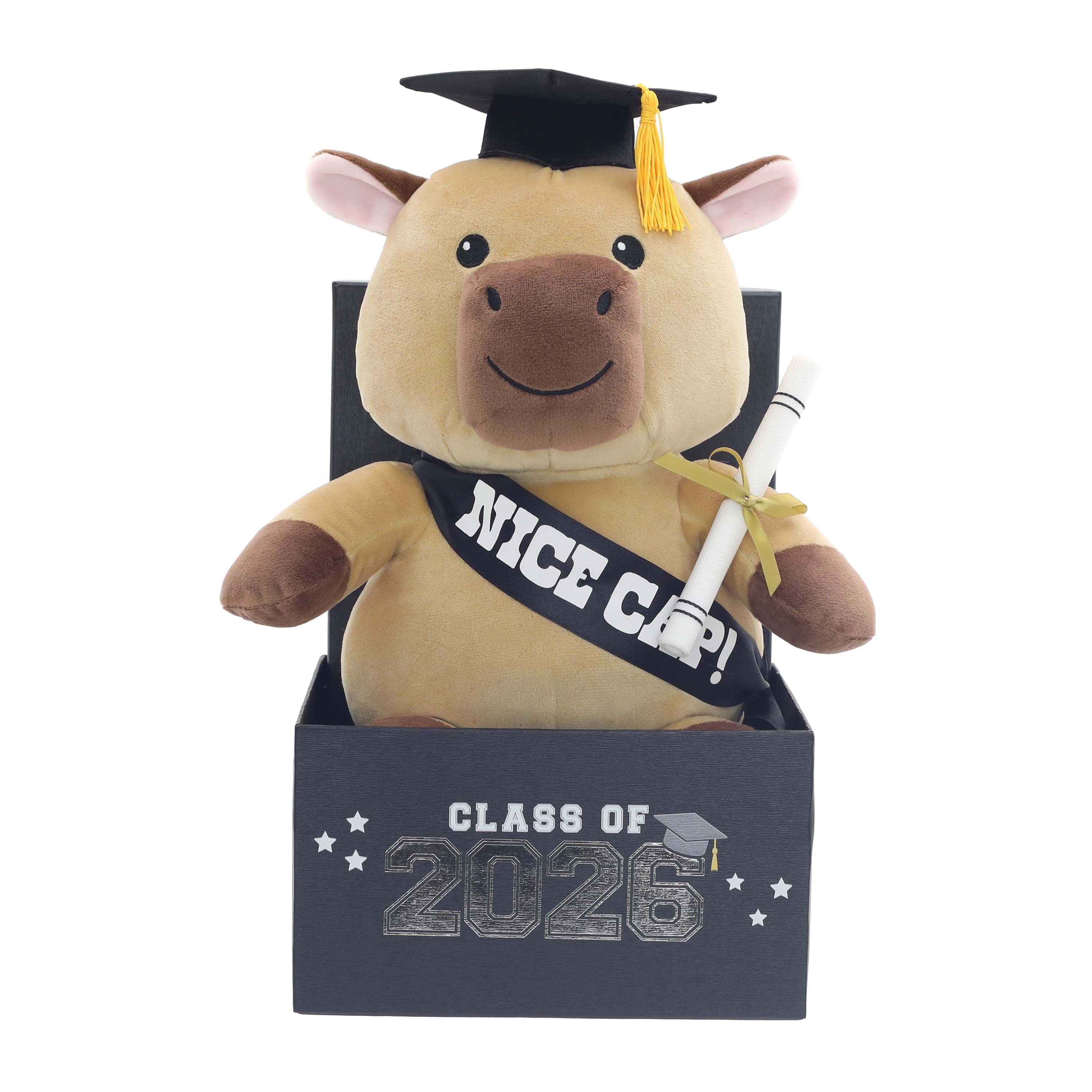 Class of 2026 Graduation Capybara Plush in Gift Box by Way to Celebrate