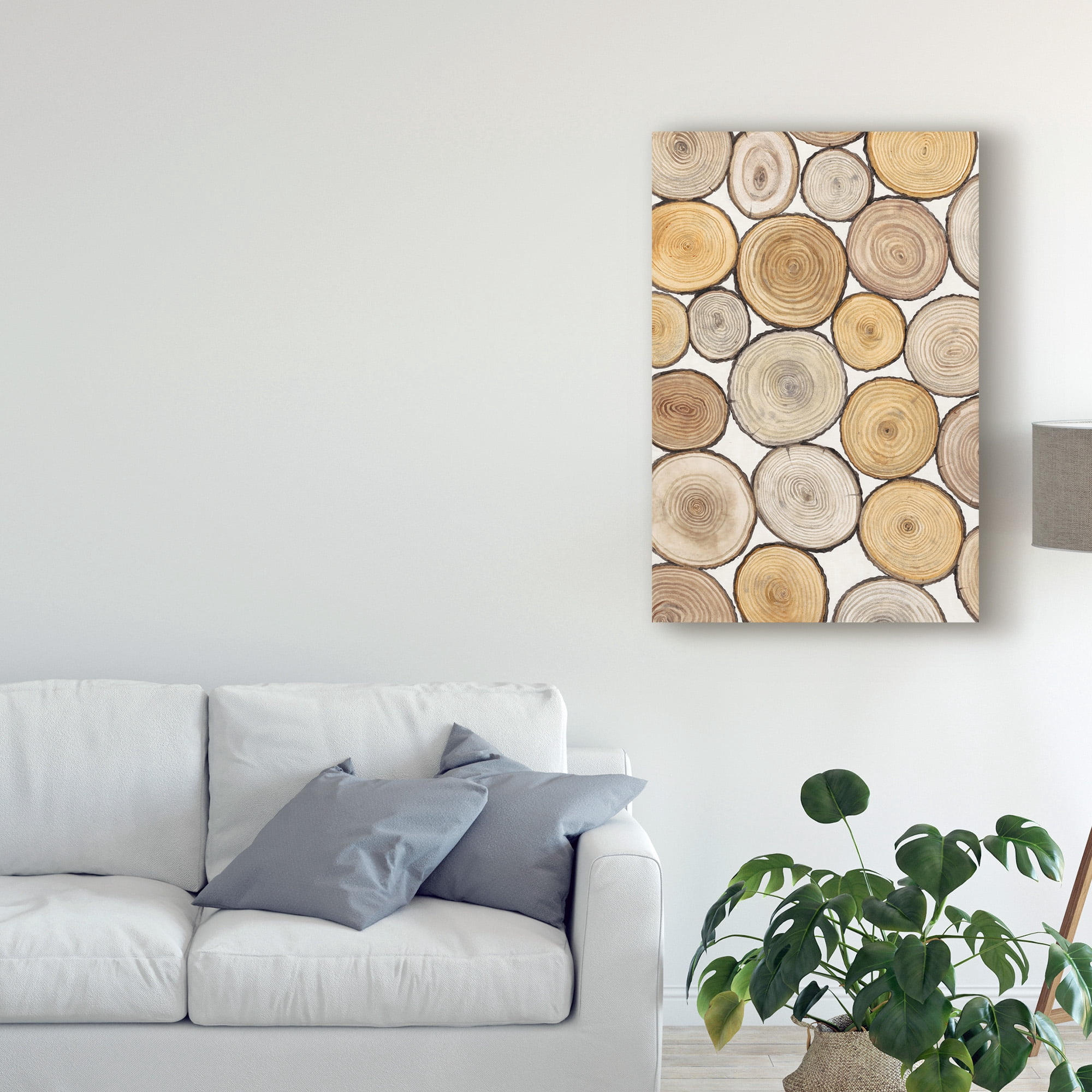 Trademark Fine Art 'Tree Ring Study I' Canvas Art by Tim OToole