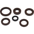 thumbnail image 1 of QuadBoss Oil Seal Set, 1 of 1