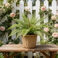 thumbnail image 1 of Artificial Green Plants For Indoor And Outdoor Decoration Green Wall Decoration, 1 of 6