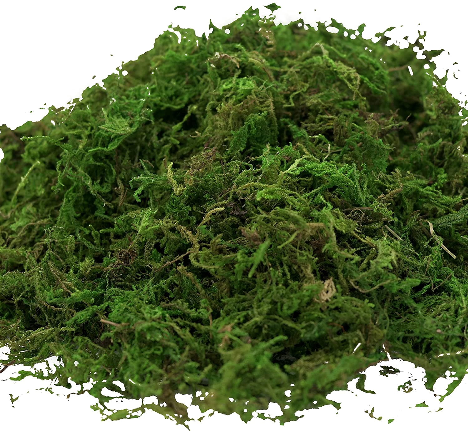 Artificial Moss 16oz – Fake Moss for Crafts, Fairy Gardens, Wedding & Party Decor, Centerpieces & Potted Plants (Fresh Green, 455g)