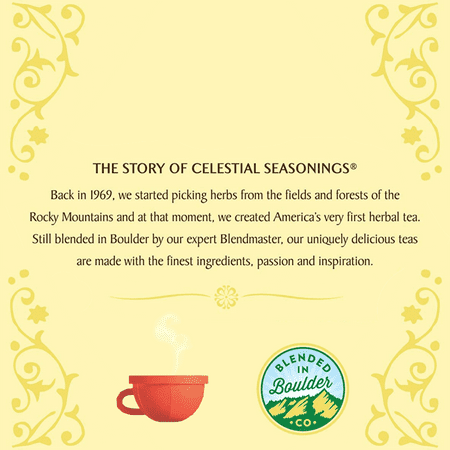 Celestial Seasonings TeaWell Organic Ginger Mint Daily Wellness Herbal Tea Bags (12 Count)