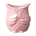 thumbnail image 1 of Owl Design Succulent Pot Gardening Creative Green Plant Ceramic Pot Container for Home Not Smelling Owl (Pink), 1 of 4