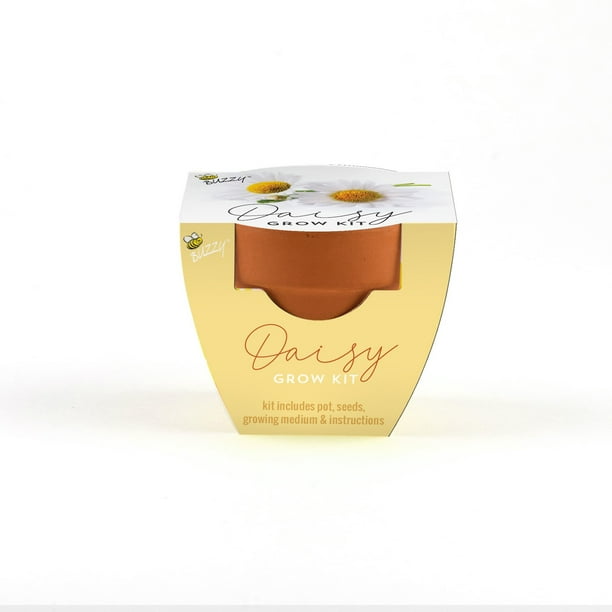Buzzy Mini Terra Cotta Grow Kit Guaranteed to Grow Daisy