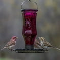 thumbnail image 3 of Perky-Pet Sapphire Starburst Vintage Glass Bird Feeder - 1/2 lb Capacity, 3 of 11