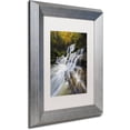 thumbnail image 2 of Trademark Fine Art "Symphony of Autumn" Canvas Art by Mathieu Rivrin, White Matte, Silver Frame, 2 of 4
