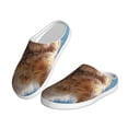 thumbnail image 2 of Lsque Playful Cat Fisheye View Pattern Womens Comfort Cotton on Scuff With Memory Foam and Anti-skid Sole Slipper-46/47, 2 of 7