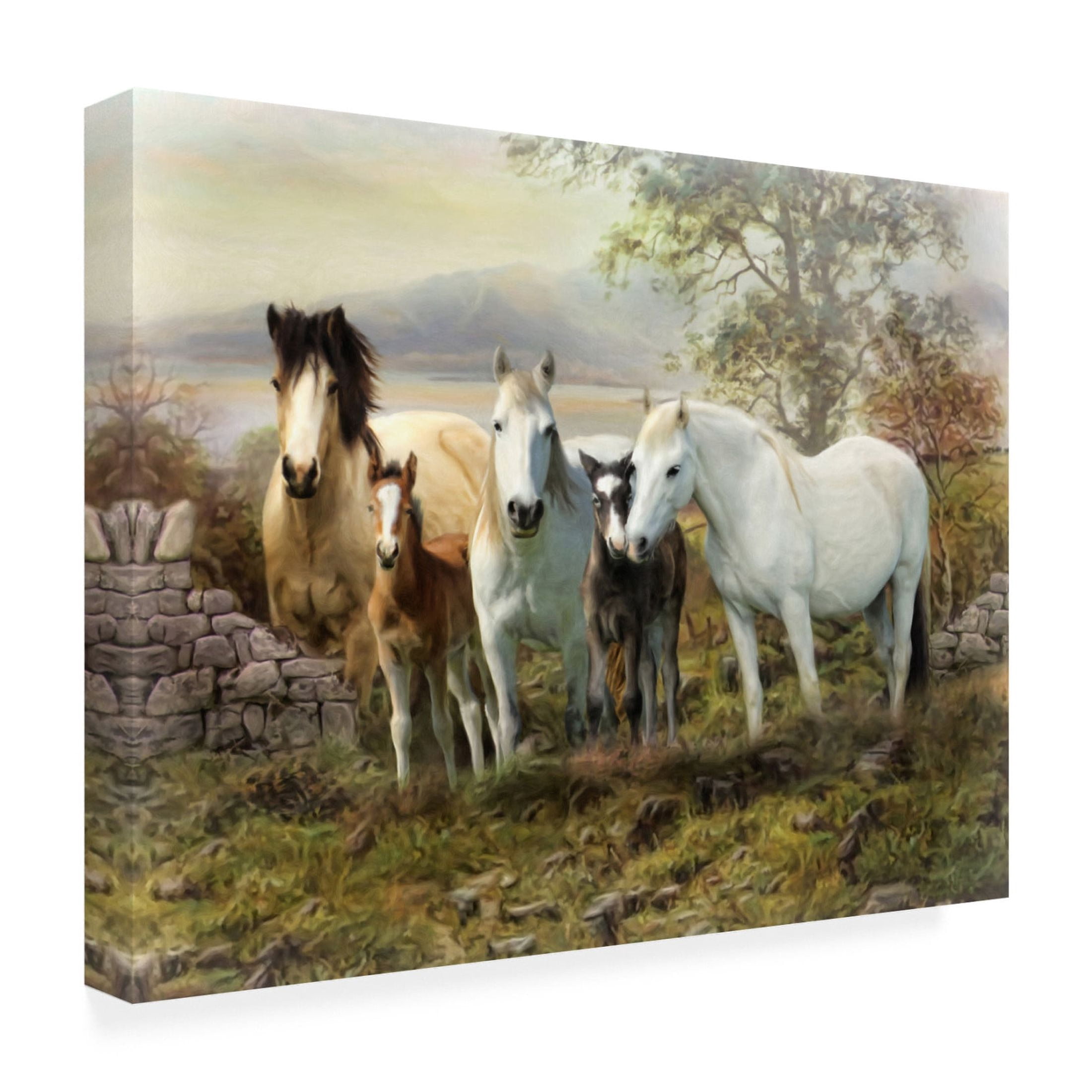 Canvas Wall Art - Trudi Simmonds 'Connemara Ireland' Wall Art for Living Room, Bedroom, or Office Décor by Trademark Fine Art - 19 x 14 Inches