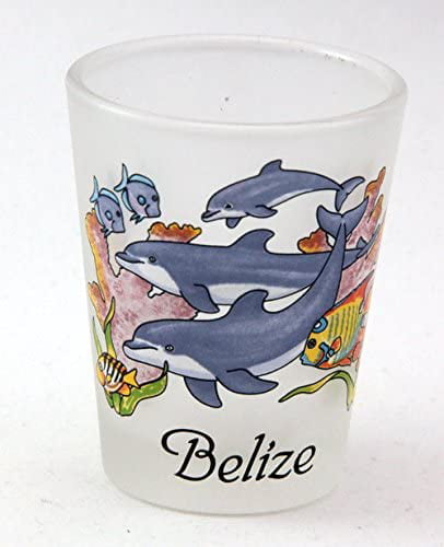 BELIZE JUMPING DOLPHINS FROSTED CARIBBEAN SHOT GLASS SHOTGLASS 