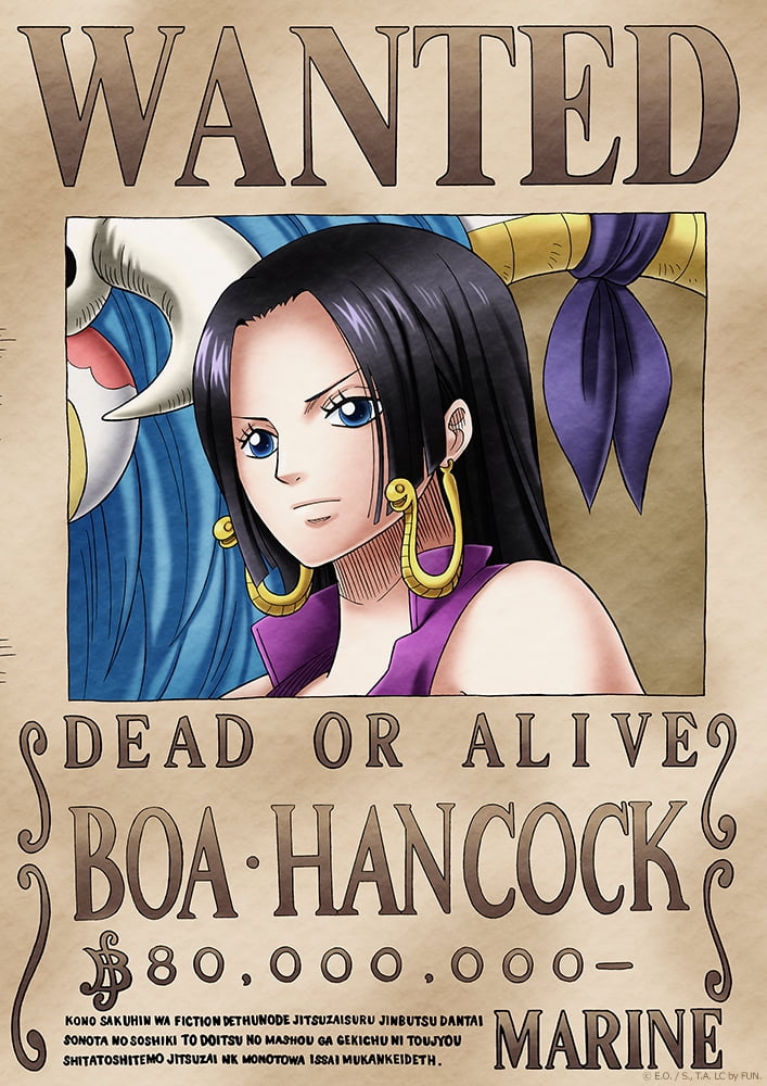 One Piece Wanted Poster Boa Hancock 