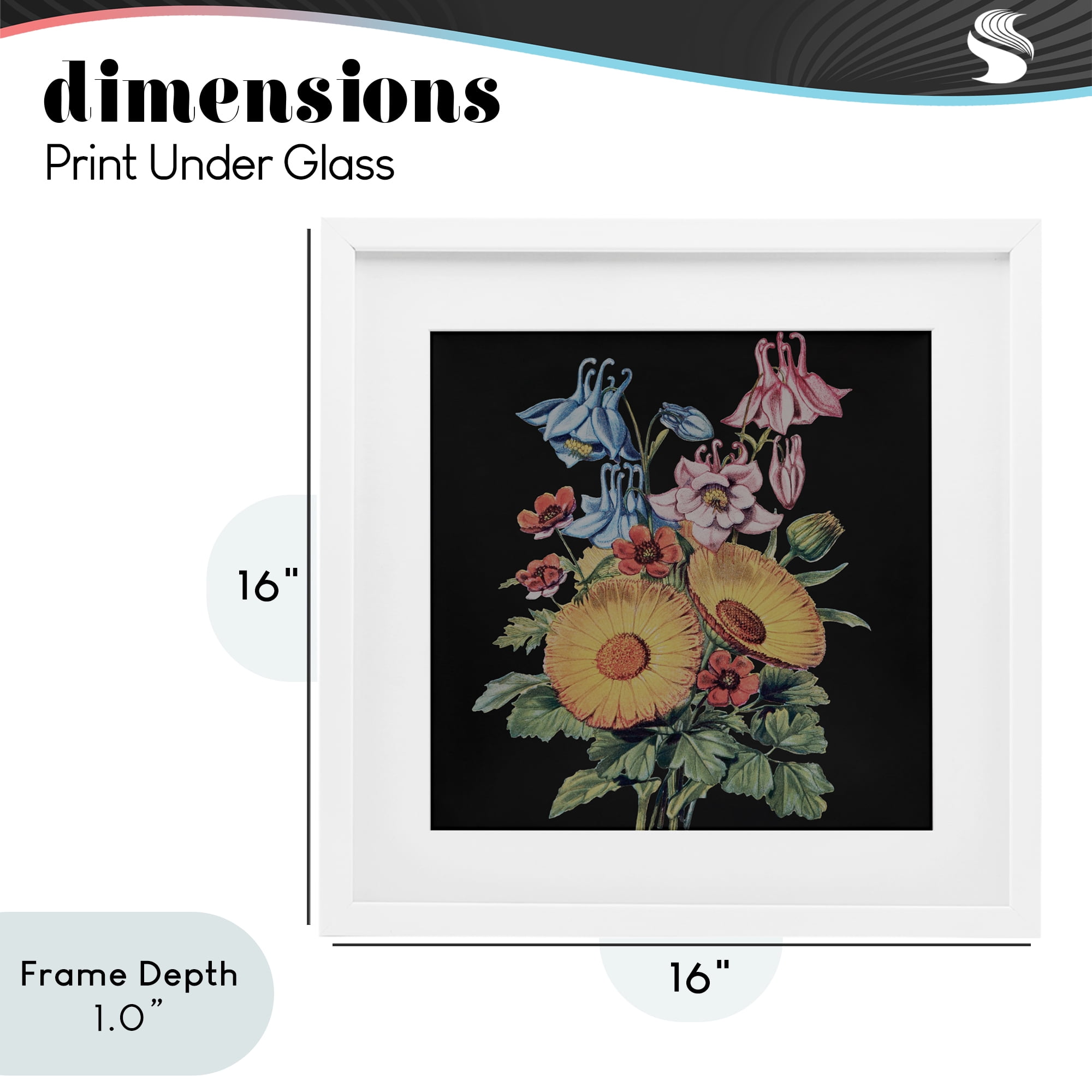 Stupell Industries Vintage Bouquet Study on Black White Framed Print Under Glass, design by Dan Meneely