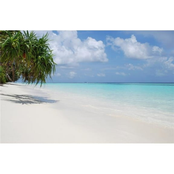 Beach with Palm Trees Poster Print 19 x 12