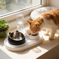 thumbnail image 4 of Twfbrm Pet Supplies Cats Bowl Two In One Drinking Water Dog Water Bowl Rice Bowl Pet Bowl Drinking Water Feeding All One Suitable For Dogs and Cats To Live and Drink Water for Cats Dogs, 4 of 6