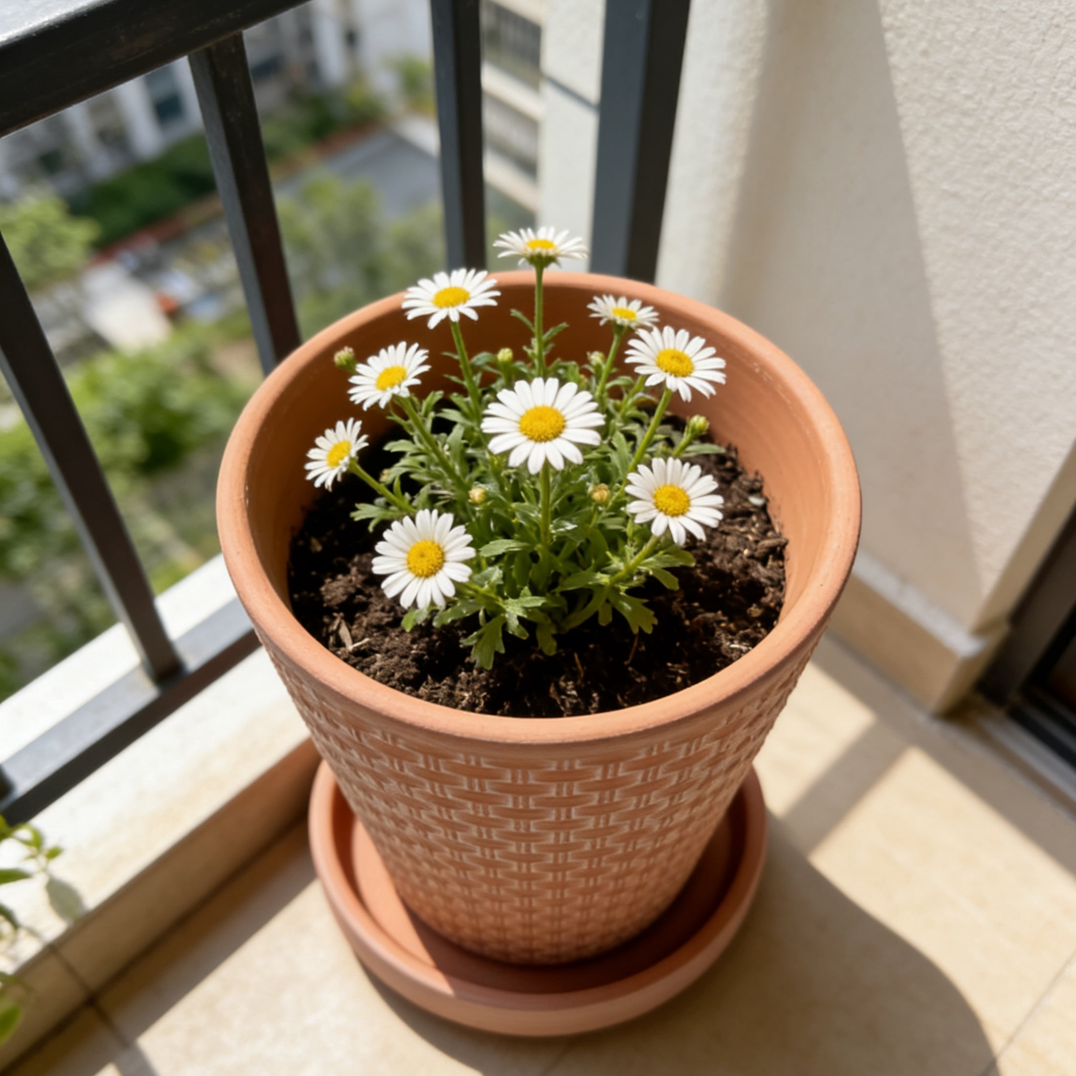 Clay flower pot, surface relief technology, 1 set of 2 flower pots and 2 trays, suitable for all kinds of flower planting, flower pot with drainage holes, suitable for interior decoration an