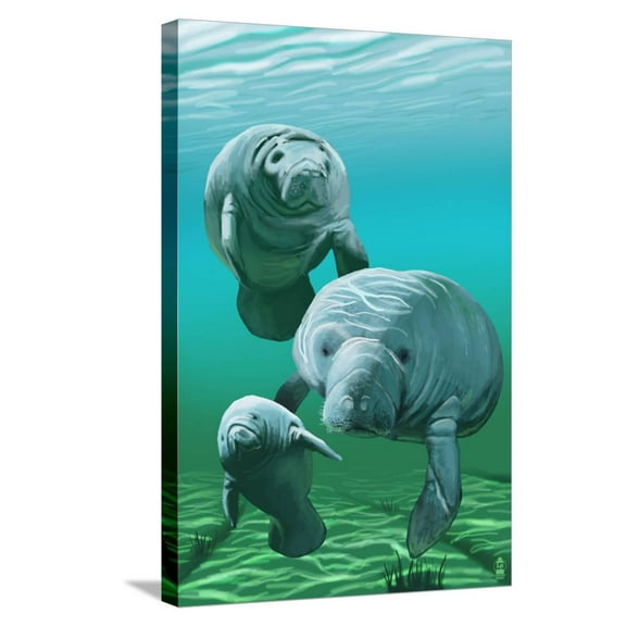 Art.com Manatees Stretched Canvas Print Wall Art by Lantern Press, 16" x 24"