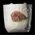 thumbnail image 1 of Rainbow Card Company TB-500MA 24'' Tote Bag Max, 1 of 1