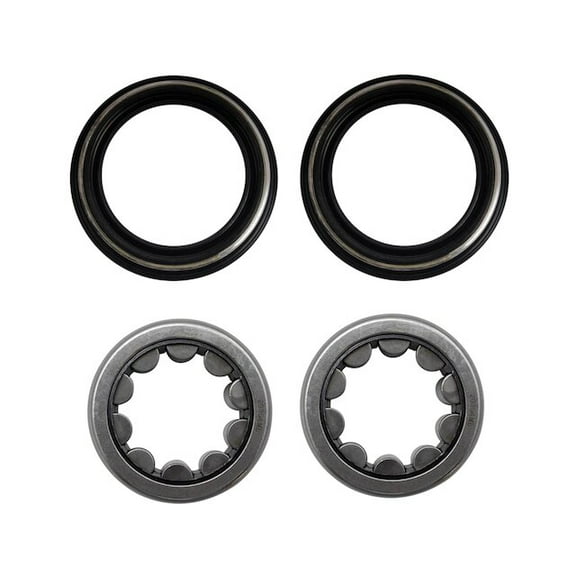 Rear Wheel Bearing and Seal Kit - Compatible with 1998 - 2003, 2005 - 2017 Ford F-150 1999 2000 2001 2002 2006 2007 2008 2009 2010 2011 2012 2013 2014 2015 2016