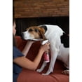 thumbnail image 4 of Shampoo Bio-Groom Antipulgas y Garrapatas para Perros 946 ml Repelente Natural, 4 of 5