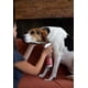 thumbnail image 4 of Shampoo Bio-Groom Antipulgas y Garrapatas para Perros 946 ml Repelente Natural, 4 of 5