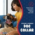 thumbnail image 4 of Collier pour Chien en Cuir Véritable Rotterdam / Matériel en Acier Inoxydable / Fond en Cuir Rembourré Doux / 16 Pouces X 3/4 Pouces, Rouge Saint-Valentin / Collier pour Chien Ajusté en Métal / Collection par Angel Pet Supplies, 4 of 6