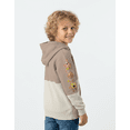 thumbnail image 2 of Spongebob Squarepants Boy’s Colorblock Fleece Graphic Hoodie, Sizes 4-18, 2 of 7